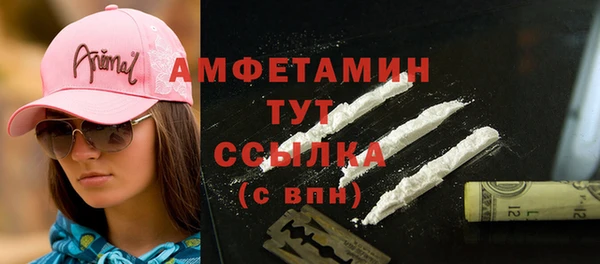 спайс Няндома