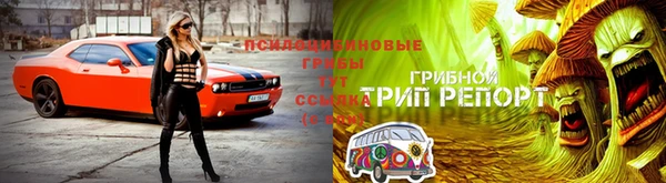 spice Армянск