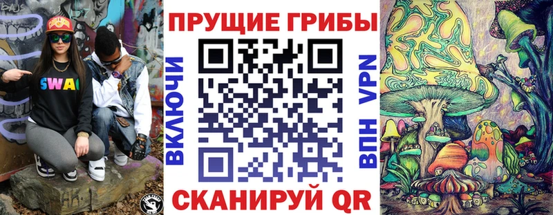 Псилоцибиновые грибы GOLDEN TEACHER  Хилок 