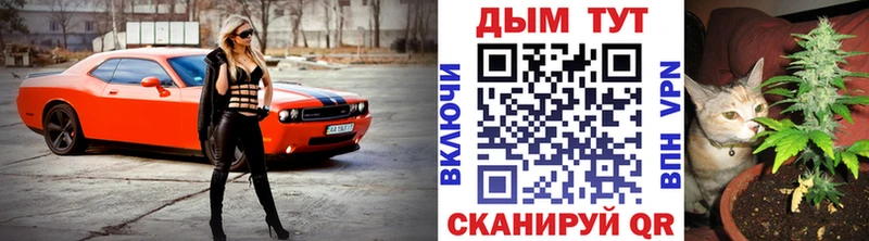 Канабис конопля  Хилок 